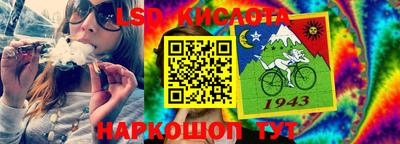 стаф Сланцы