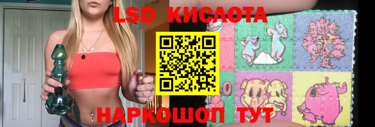 MEGA как войти  Вход с VPN  ЛСД экстази кислота  Новороссийск  ЛСД экстази ecstasy 
