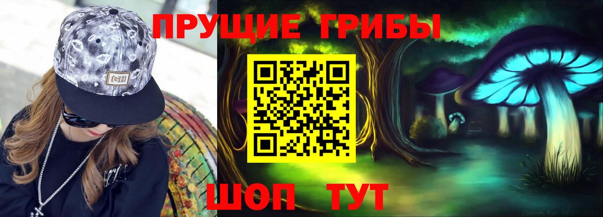 Галлюциногенные грибы Psilocybine cubensis  Вход с VPN  Новороссийск  Псилоцибиновые грибы мухоморы 