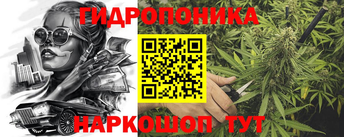 Бошки Шишки индика Новороссийск